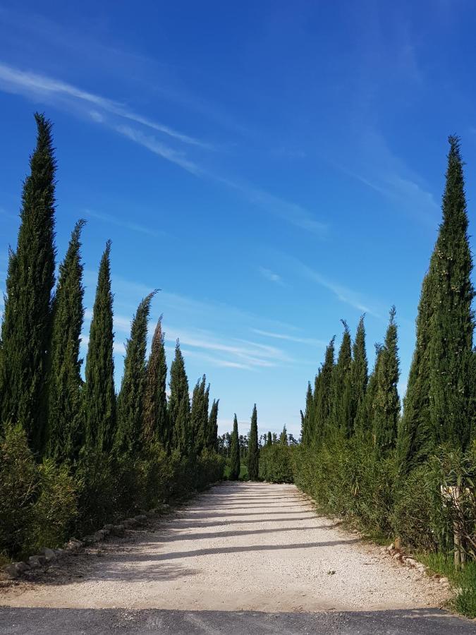Le Mas Saint Jean Mézoargues Exteriér fotografie