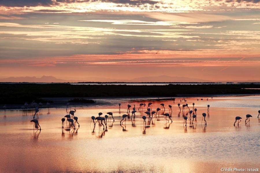 Le Mas Saint Jean Mézoargues Exteriér fotografie